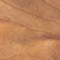 Maple Burl