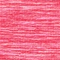 Dragon Fruit