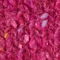 Dark Magenta Donegal
