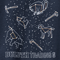 Naval Academy/Constellation Beaver